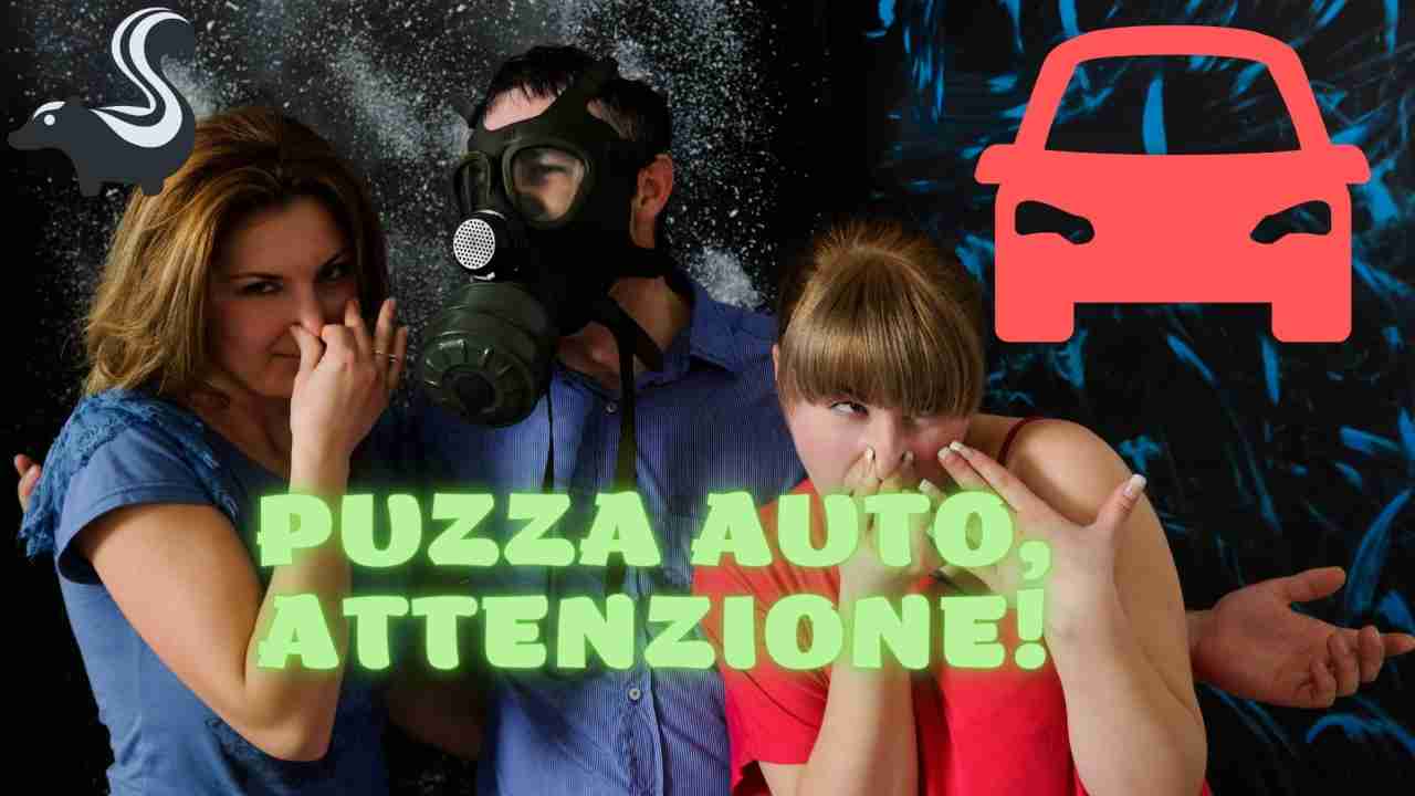 Climatizzatore auto (Web source) 11 agosto 2022 quattromania.it
