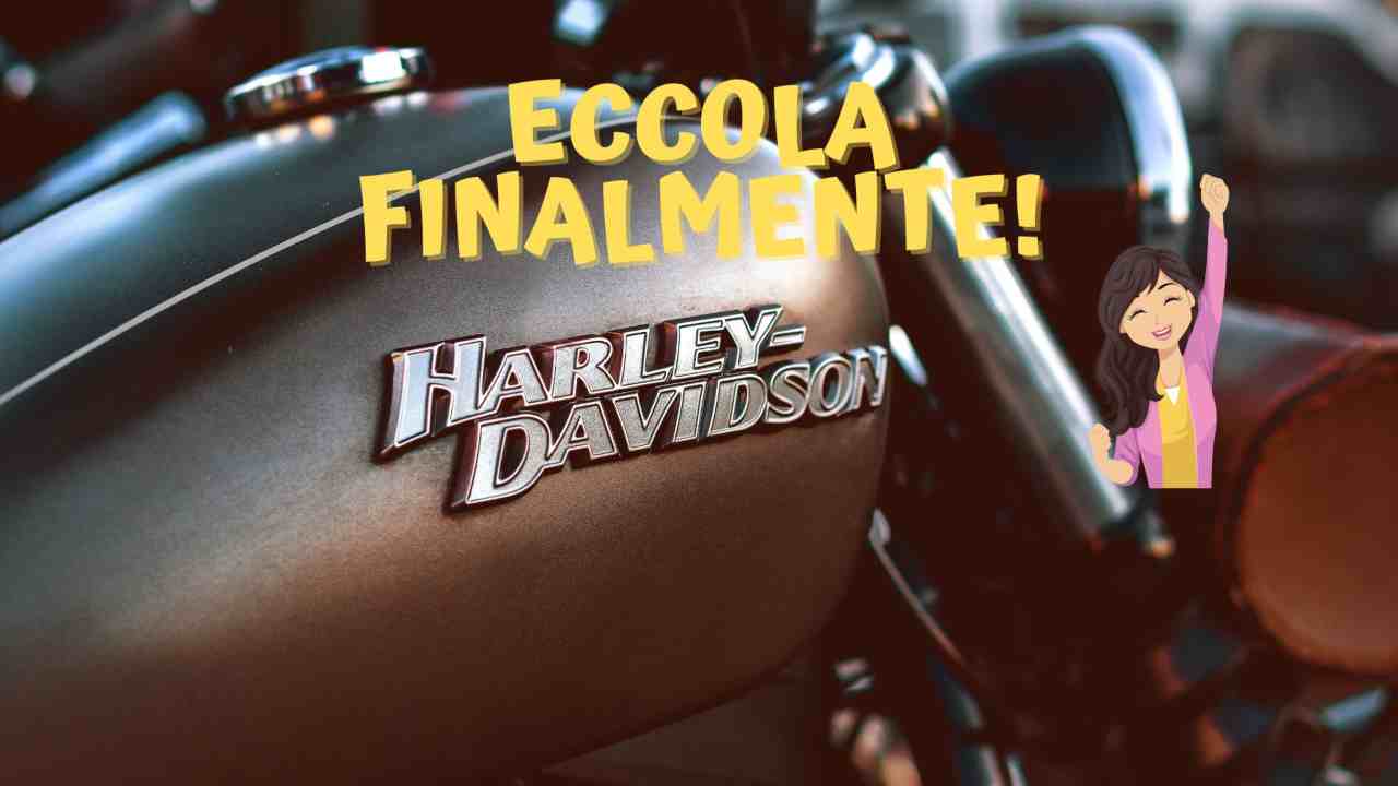 Harley Davidson 25 settembre 2022 quattromania.it